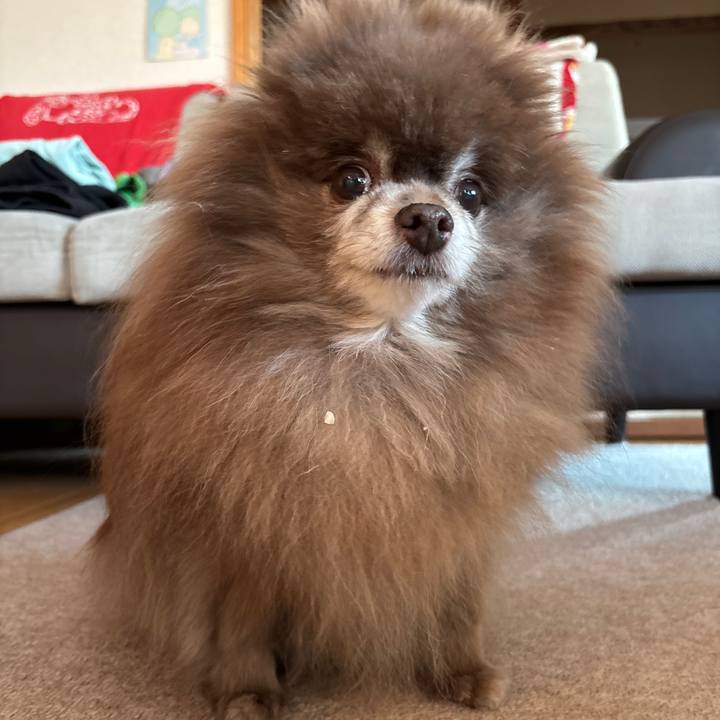 108d1efe 8015 428e aced 1912e6f13a97 1740002152264