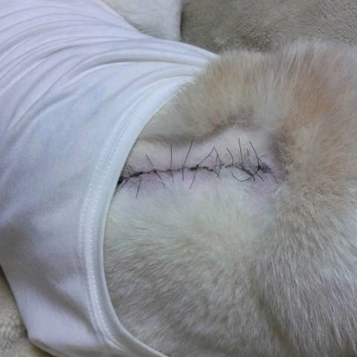 108d35c9 b020 4680 8c88 660711b74ef3 1635246568668