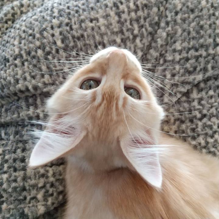 108d8538 2f22 49bc 95a3 c41ca146fc08 1607827863327