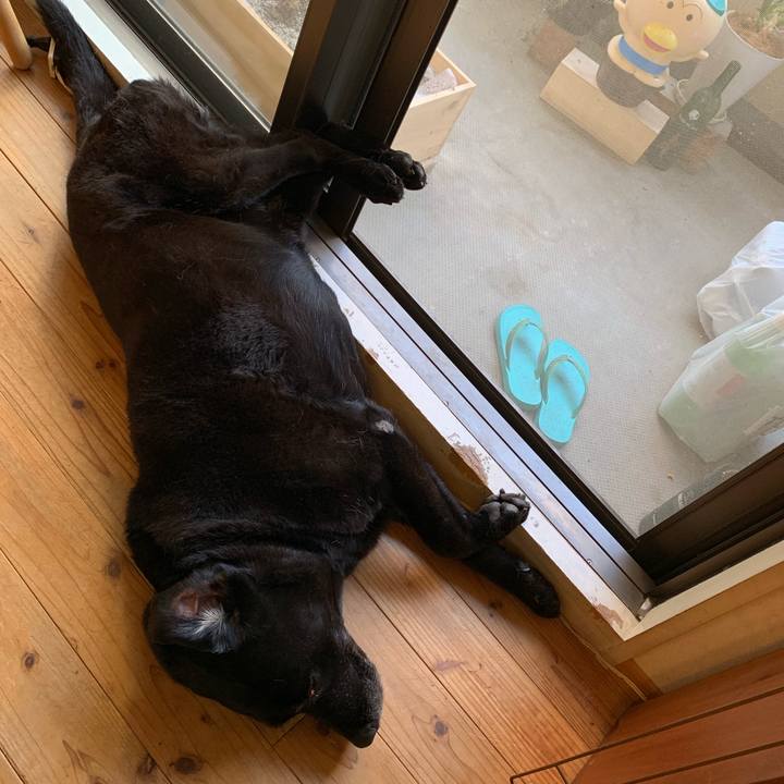 108dd25b eca2 4855 b4a2 ee3164978a4b 1563230584485