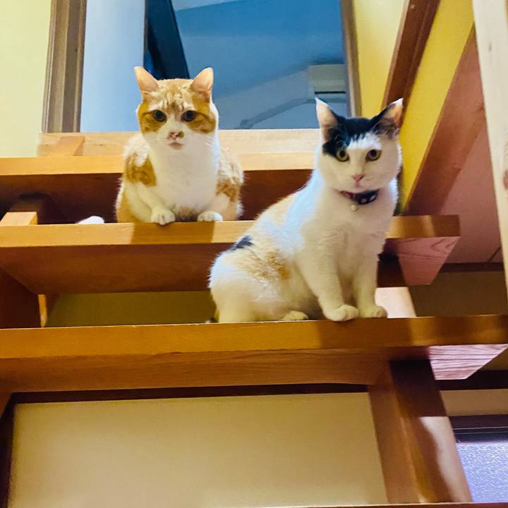 108dff04 ab7b 468a aaa8 cbe5a92718cb 1655810127868