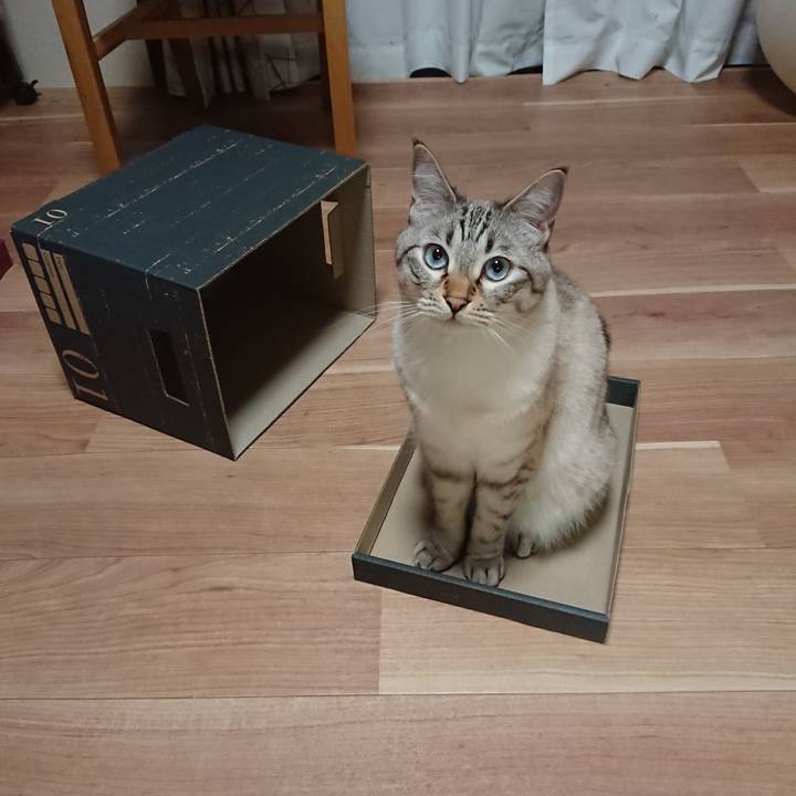 108e2f40 a1e8 4bfe 942e cb3141c3b2d2 1561632823569