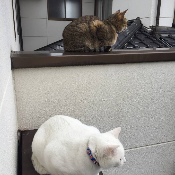 108e3464 c9c4 47a6 b1b8 a732a918c2e4 1529110022311