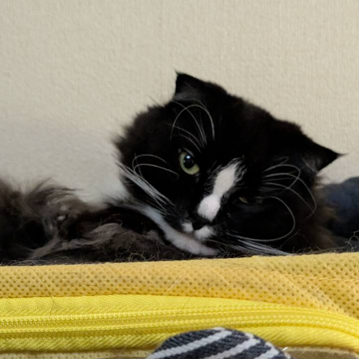 108e57b7 d9a2 4595 b0b2 eb02c50346fa 1742697229793