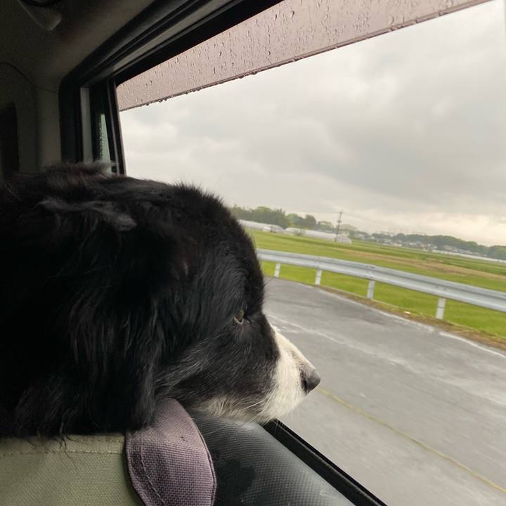 108e81f0 c94d 498d 9729 d3732ab79441 1681250726636