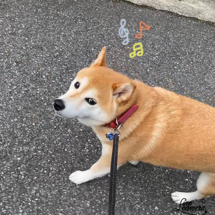 108e8cc7 799b 476c 890d 6e4faed6a3c6 1626277441353