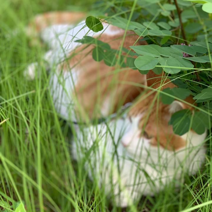 108eb323 b2c3 4e1d a18e cd492cda8431 1596185053591