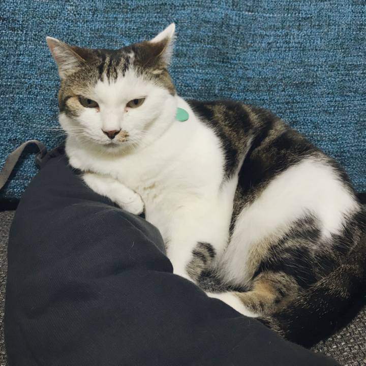 108eb75e b9b9 4ca7 a35e e605f66925c5 1530790172969