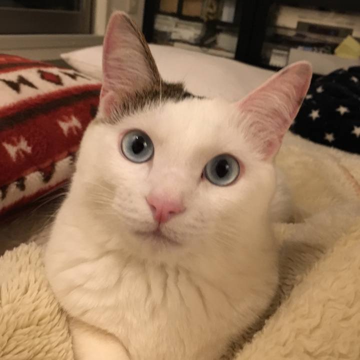 108ed7df b20d 44e1 bc36 c94875b97f35 1521862818454