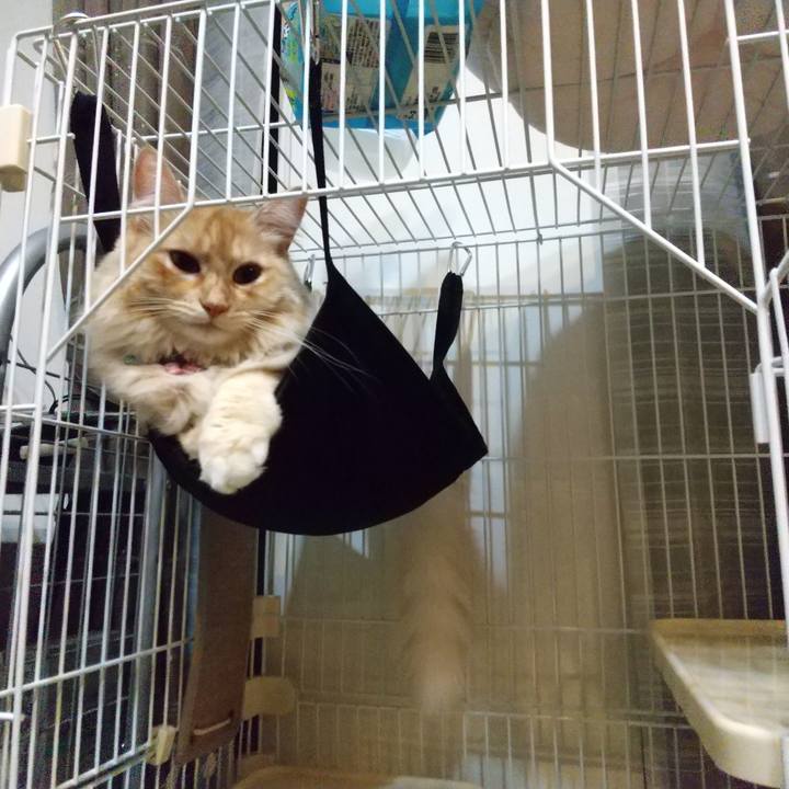 108f0084 c718 41fd a733 b81a9638969d 1634374935162