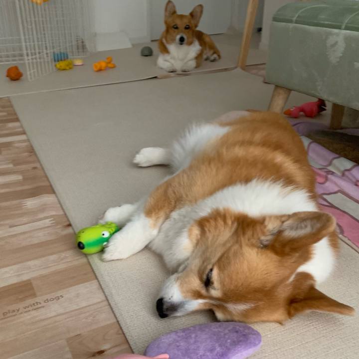 108f1468 b9c1 403a 8763 3f7d7e031648 1718324768792