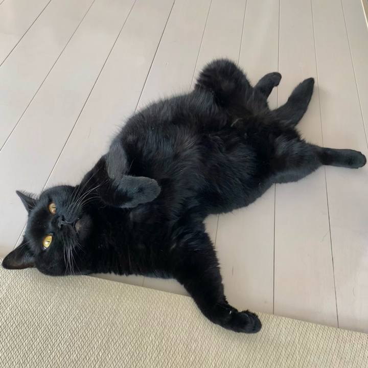 108f2a86 bb33 4487 af22 cf52ba6b9f91 1658184510419