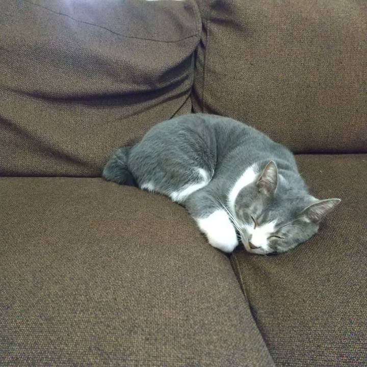 108f73fc 972d 47a6 b1fb 956ce08380ee 1634623115160