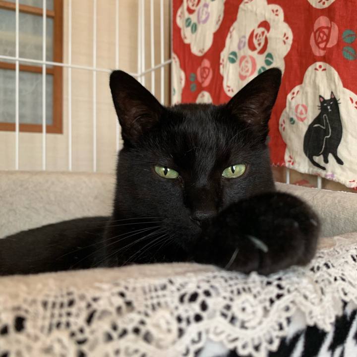 108f8ed2 c7f7 45e1 a17a b4790f2171a1 1551141576200