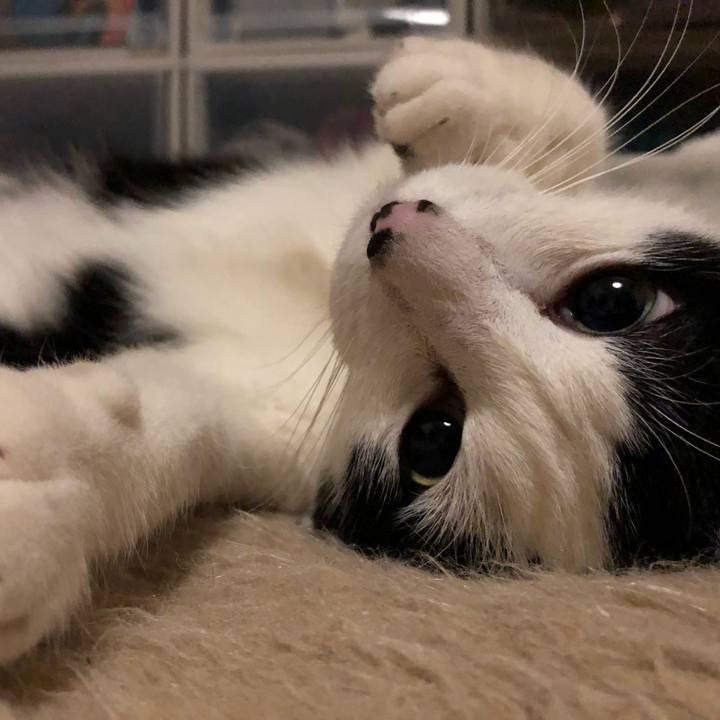 108f9c1a 5a74 417e acb1 a0517d7f217b 1546713955768