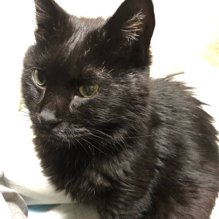 109006f7 cc51 4edb 8a5c 3576f6040a49 1631108103908