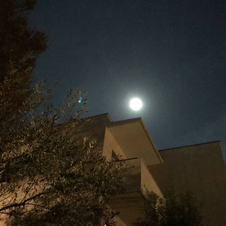 10902cf6 4626 44df a87e 853cab09a15c 1540208833170