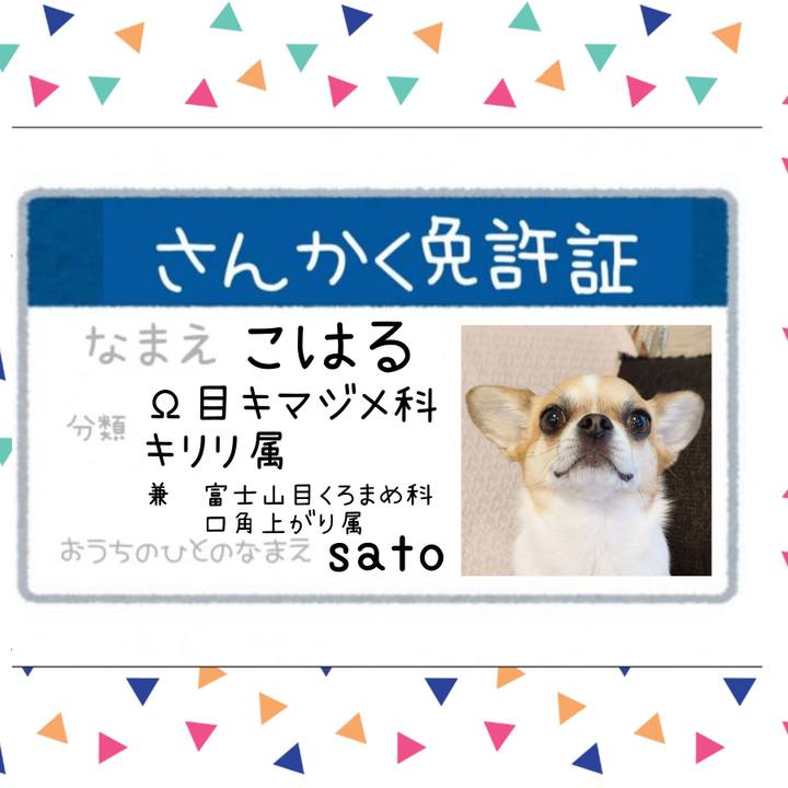 10903497 31ed 4984 893b 4099fe83a7f7 1659752178722