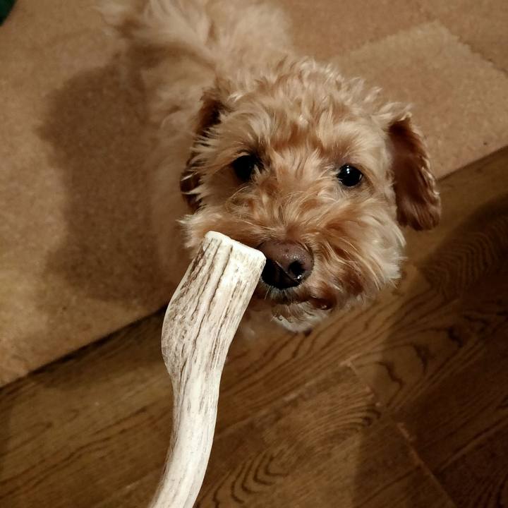 109056b4 f813 4d8d 9560 1cb7f47814a2 1610918835208