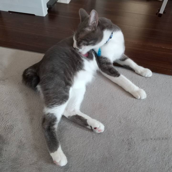 10905f4a 5e4f 43fe bca6 b3324f5c4688 1596411157365