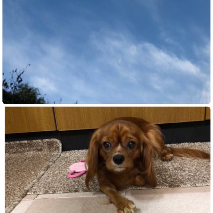 10907e67 4ff2 4bfd 901b 901664cf6aba 1539607001993