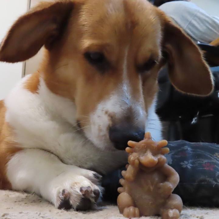 1090c116 ab7d 4540 b742 bd1bfc2923eb 1630642689040