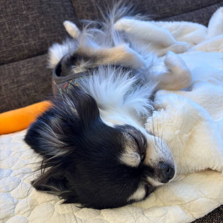 1090c9a5 aaaf 4937 9b18 a8fae8f04cf2 1736613297385