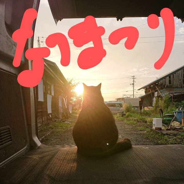 1090dc50 34be 45b0 a50d 6f92e1d16cf3 1661557278656