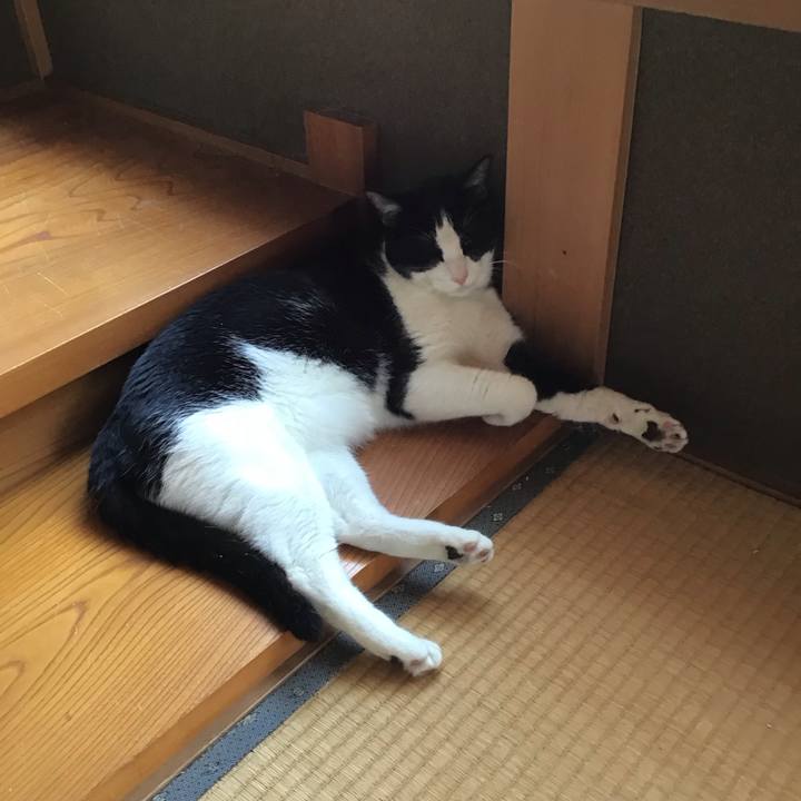 1090fbfd 9c63 4ab7 9d5c 10d353ecee99 1690692511607