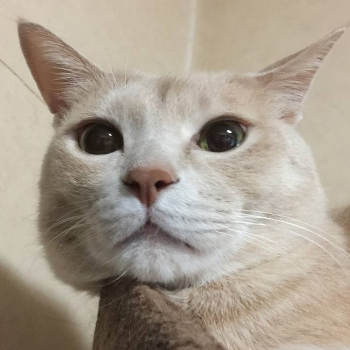 10911603 e7f1 41ce 940c 6fb0871763e4 1549338390580