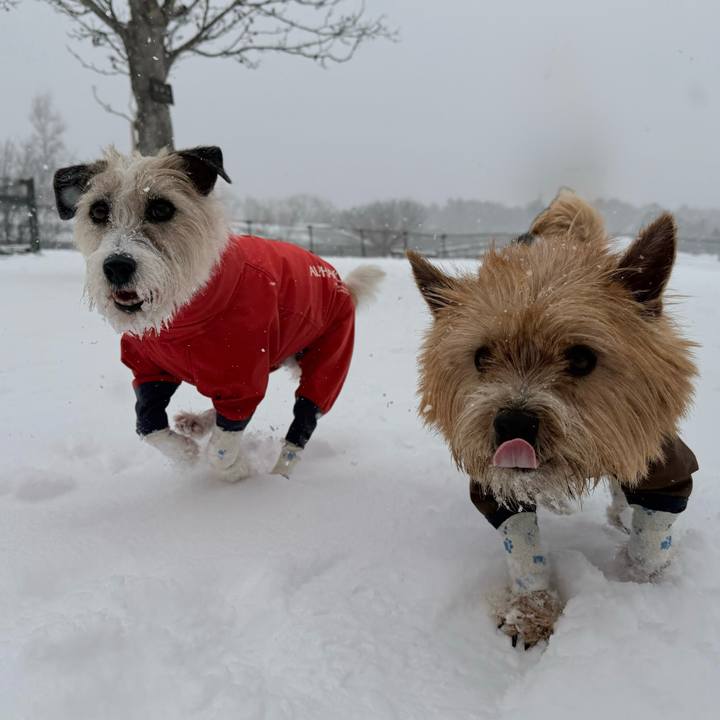 109158bd 5065 47e6 8304 300afe7a59c7 1769779935185