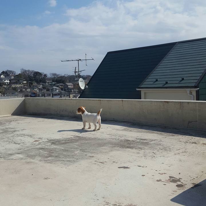 109193ce ff76 447a b3f9 727c7dee3ec5 1550381126020