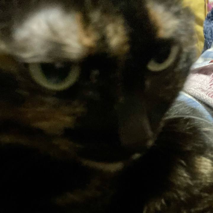 1091a965 07ab 4444 9e2d c8e8fb14162b 1679400400372