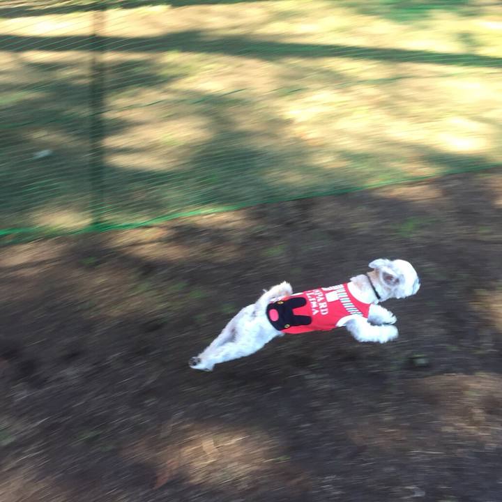 1091e839 05b7 4310 9d51 ac5c745378b0 1511087315837