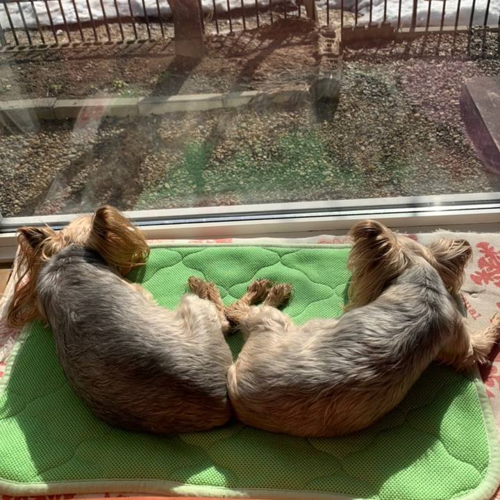 1091ee83 c98f 44db adc9 b0415808bd76 1617355503738