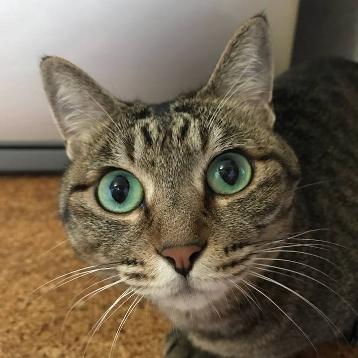 1092078d a76c 4001 8255 c7e4a3beeef6 1530591190838