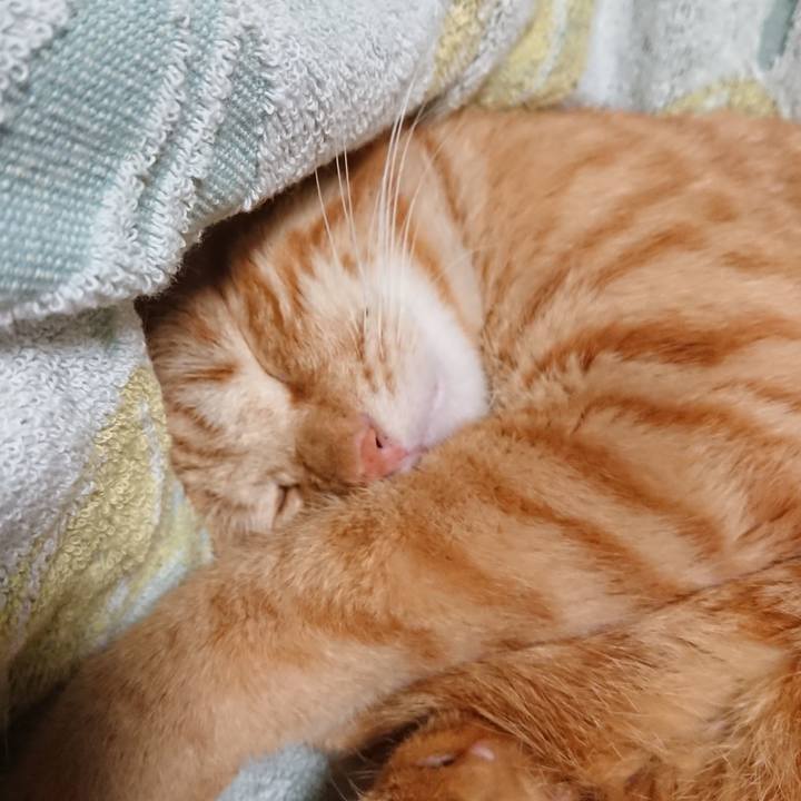 1092197d 4c23 4764 bf71 6b65c76a0276 1656334186443