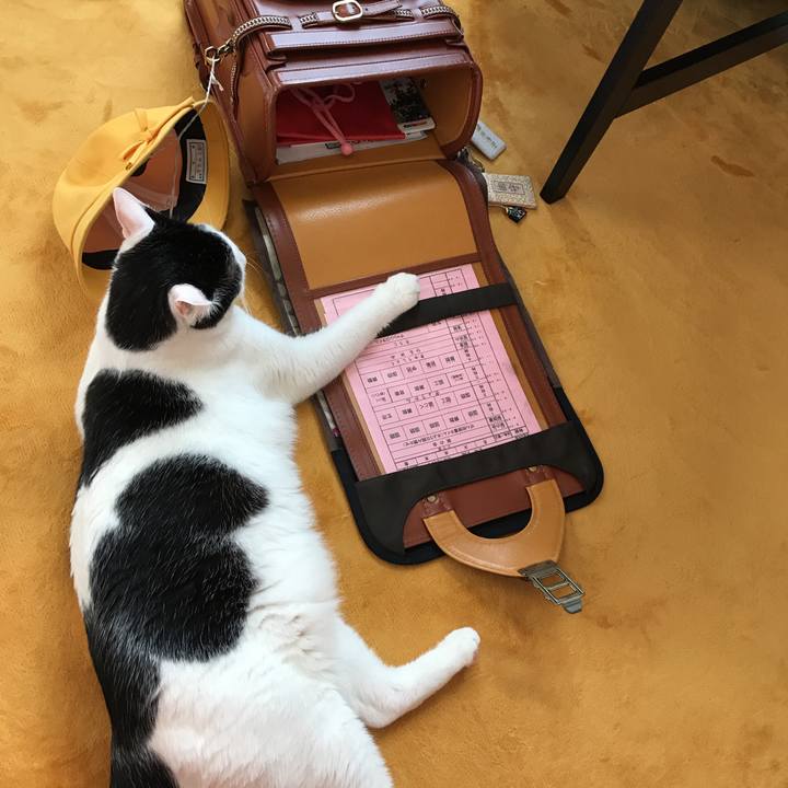 10923251 db83 4e5a ba9a c0f324791e9e 1531809774351