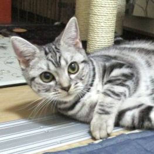 10926ecd 6797 4174 b86b 2beb9dfc2697 1541154108956