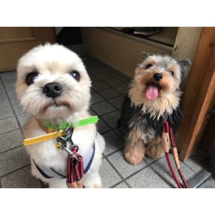 1092ac79 5f75 4957 8248 9216f030379c 1537355027998