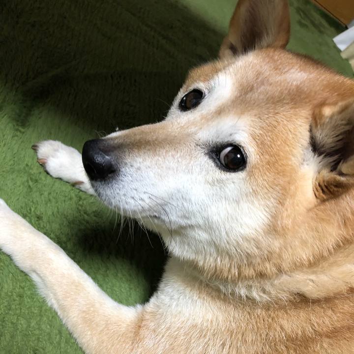 1092cfc7 9f05 49b5 84d8 054da0b9ec27 1543921440607