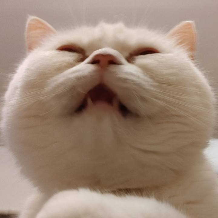 1092dd9d e74b 4438 bc04 8cf4eeda1f66 1618653207053