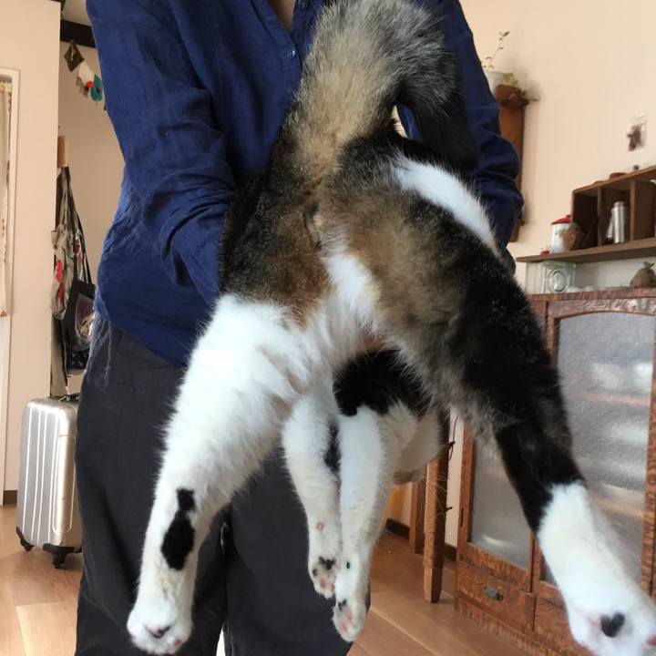 1092fb83 b4c8 4f0e b15b eb9293d464a8 1539386229015