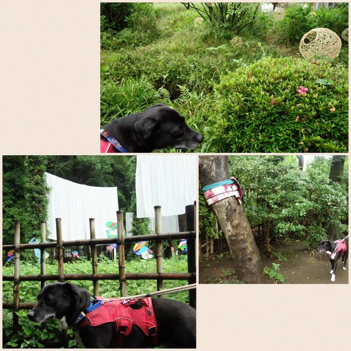 109303d3 107a 422a b464 466f0eed4da7 1684542611457