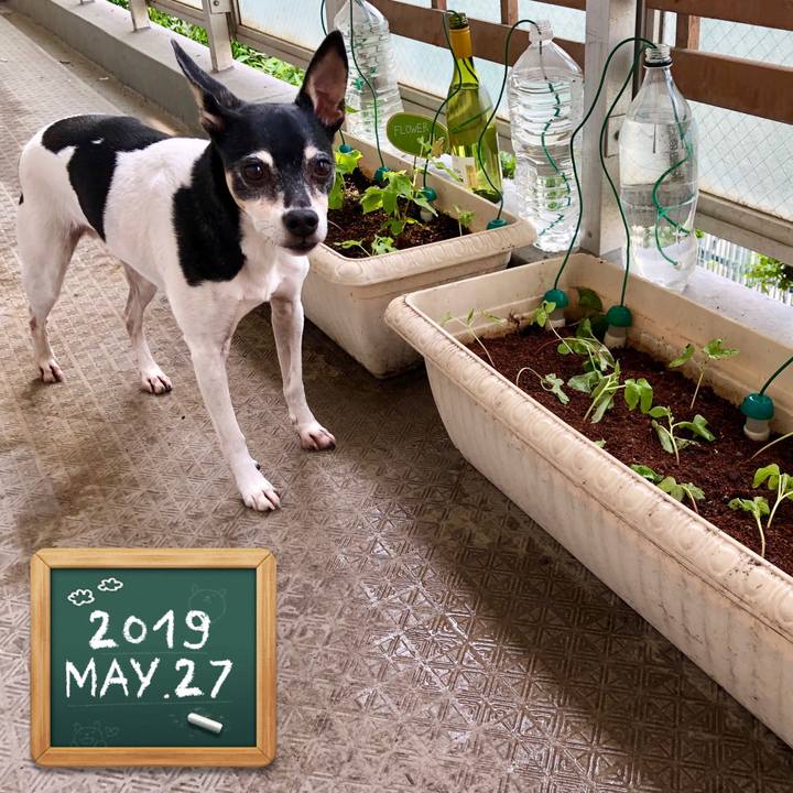 10931d3d 5d90 4007 9396 6e017a9ad22d 1558958107405