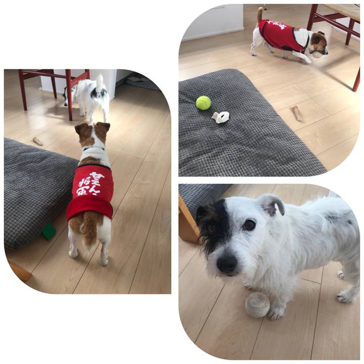 10931d48 5f31 41a7 a1b8 ede8f2e26abc 1530231414812