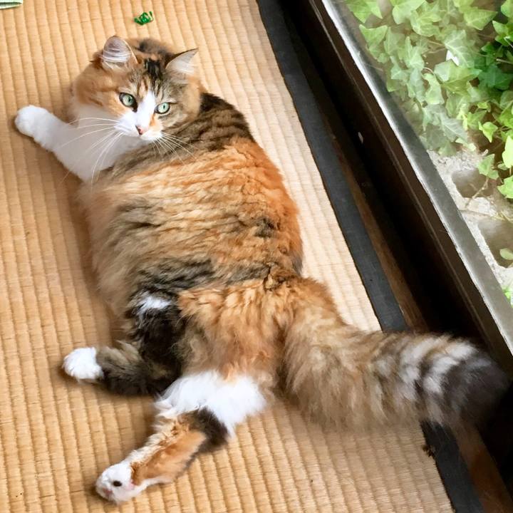 109323a2 547e 4aa6 800b 8b1537157fb7 1566012880126