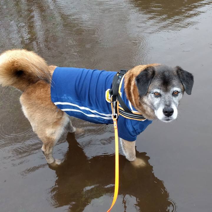 1093264b daca 439c 8149 a4d8b4eedf50 1521677417880