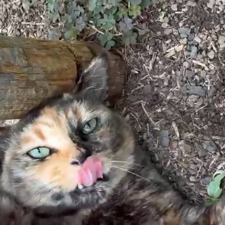 109340bc 0479 4533 9a96 f35dafb60b05 1747467468510