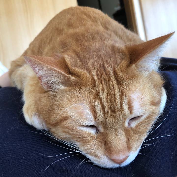 109348b6 2050 4e3b bb7f 9d8c015df5a2 1714355137605